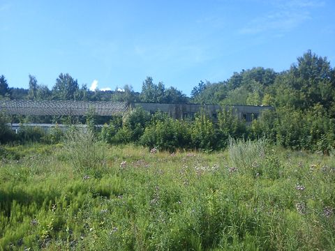 Foto 57